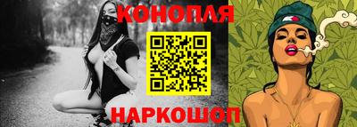 крисы Гусев